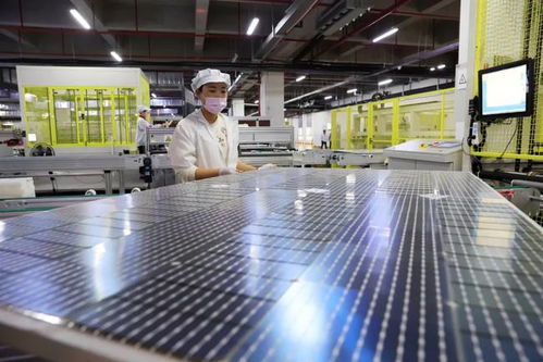 合肥進出口總值首破3000億元 軟件產業的崛起與未來展望